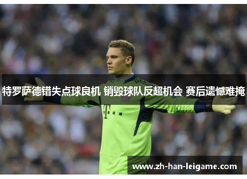 特罗萨德错失点球良机 销毁球队反超机会 赛后遗憾难掩